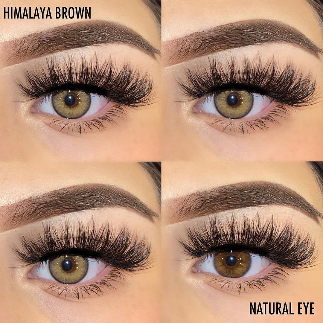 Himalaya Brown Yearly Contact Lenses - Uniieye