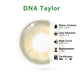 UNIIEYE DNA Taylor Brown Hazel Daily Colored Contacts | 10 pcs - UNIIEYE